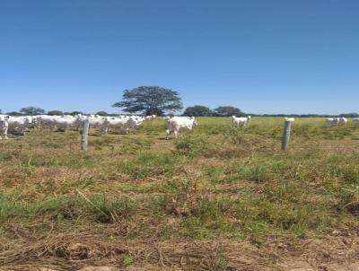 Fazenda para Venda, em Alvorada, bairro Zona Rural