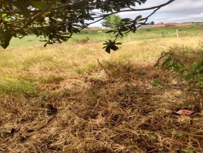 Chcara para Venda, em , bairro SANTA IZABEL