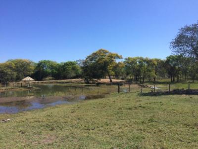 Terreno para Venda, em Santo Antnio do Leverger, bairro RURAL, 3 dormitrios, 3 banheiros, 1 sute, 2 vagas