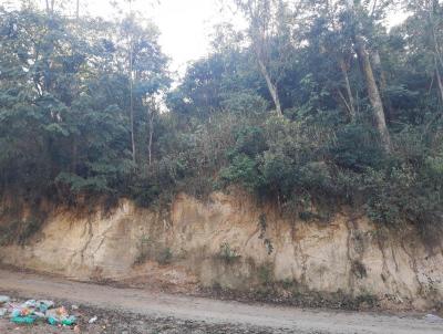 Terreno para Venda, em , bairro Panorama