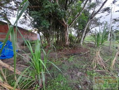Terreno para Venda, em Perube, bairro Josedy