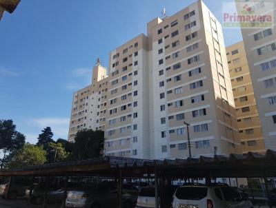 Apartamento para Venda, em So Paulo, bairro Parque Paineiras, 3 dormitrios, 2 banheiros, 1 vaga