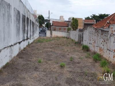 Terreno para Venda, em Presidente Prudente, bairro Vila Paraso
