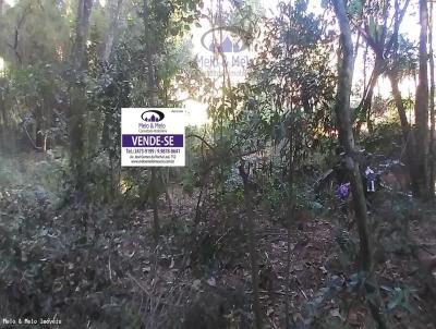 Terreno para Venda, em Socorro, bairro Rubins