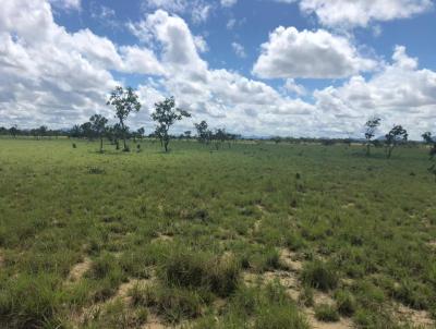 Fazenda para Venda, em Bonfim, bairro 86 KM DA CAPITAL