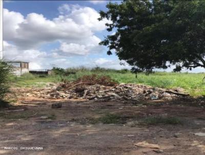 Terreno para Locao, em Salvador, bairro Stella Maris