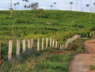 Fazenda para Venda, em Boa Vista, bairro 80 km da Capital.