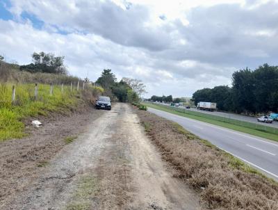 Terreno para Venda, em Tangu, bairro Bandeirante l