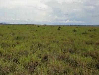 Fazenda para Venda, em Amajari, bairro .