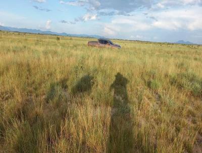 Fazenda para Venda, em , bairro 130 KM DE BOA VISTA