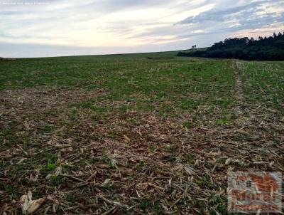 Fazenda para Venda, em Avar, bairro Braz I