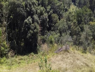 Terreno para Venda, em Santa Isabel, bairro -