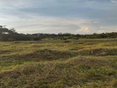 Fazenda para Venda, em Rorainpolis, bairro .