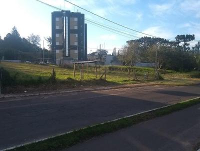 rea Comercial para Venda, em Sapiranga, bairro Oeste