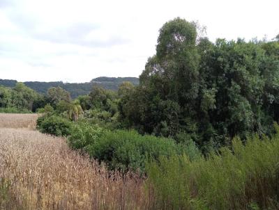 rea Rural para Venda, em Santa Maria do Herval, bairro Centro