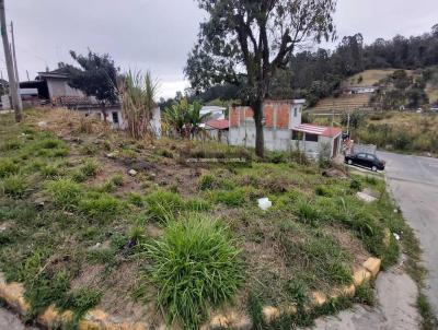 Terreno para Venda, em Mogi das Cruzes, bairro Parque Residencial Itapeti