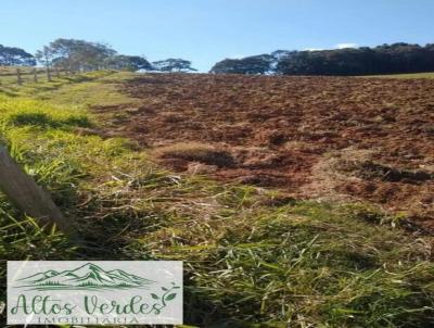 Terreno para Venda, em Pinhalzinho, bairro fazenda velha