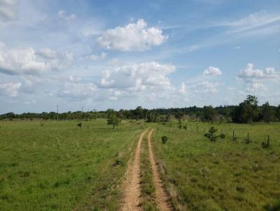 Fazenda para Venda, em Amajari, bairro .