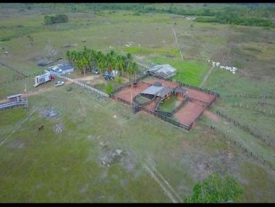 Fazenda para Venda, em Boa Vista, bairro canta