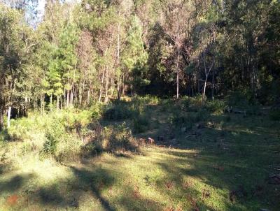 Stio / Chcara para Venda, em Trs Coroas, bairro Rodeio Bonito, 5 dormitrios, 2 banheiros, 2 vagas