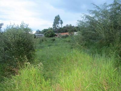 Terreno para Venda, em Campinas, bairro Pq. aeroporto (Friburgo)