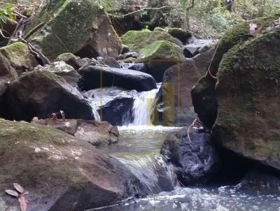 Stio / Chcara para Venda, em Taquara, bairro Batingueira