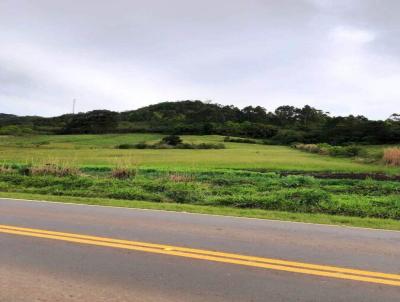 Ponto Comercial para Venda, em Nova Petrpolis, bairro Linha Araripe