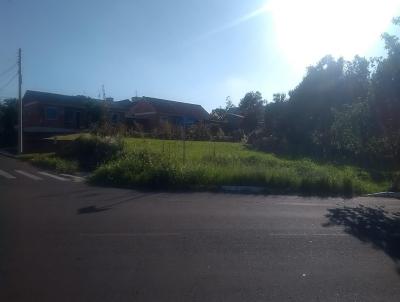 Terreno para Venda, em Sapiranga, bairro Centenrio