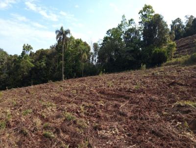 rea Rural para Venda, em Morro Reuter, bairro So Jos do Herval