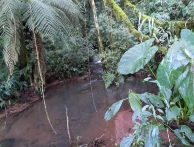 rea Rural para Venda, em Santa Maria do Herval, bairro Boa Vista do Herval