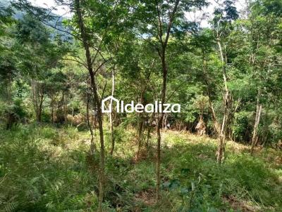 Terreno para Venda, em Terespolis, bairro Jardim Salaco