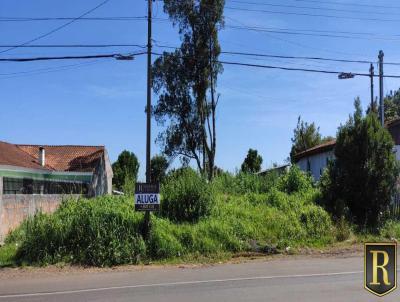 Terreno para Locao, em Guarapuava, bairro Vila Bela