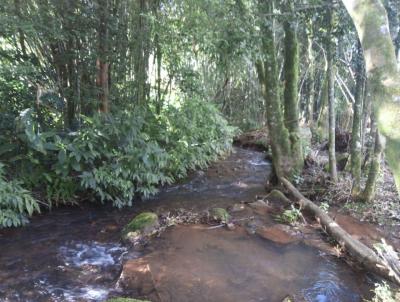 rea Rural para Venda, em Morro Reuter, bairro So Jos do Herval