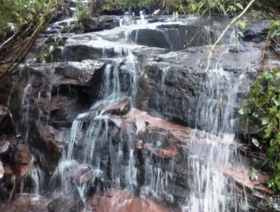 rea Rural para Venda, em Nova Petrpolis, bairro BR116