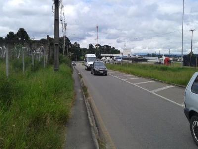 Terreno Comercial para Venda, em Curitiba, bairro Stio Cercado