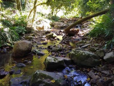 Stio / Chcara para Venda, em Cara, bairro Alpes