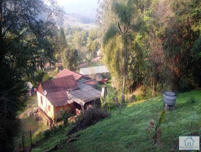 Chcara para Venda, em Rolante, bairro rea rural