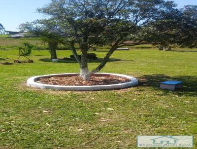 Chcara para Venda, em Araric, bairro rea rural