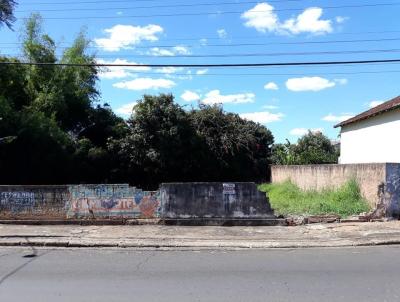 Terreno para Venda, em Dois Crregos, bairro Centro