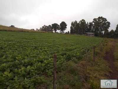 rea Rural para Venda, em Cambar do Sul, bairro rea rural