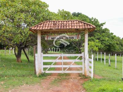 Stio / Chcara para Venda, em Alexnia, bairro Morada do Sol, 5 dormitrios, 3 banheiros, 2 sutes, 3 vagas