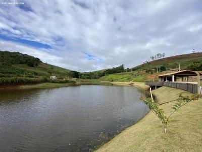 Lote para Venda, em Ervlia, bairro Centro