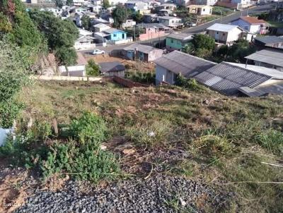 Lote para Venda, em Santa Ceclia, bairro Adolfo Correa da Silva