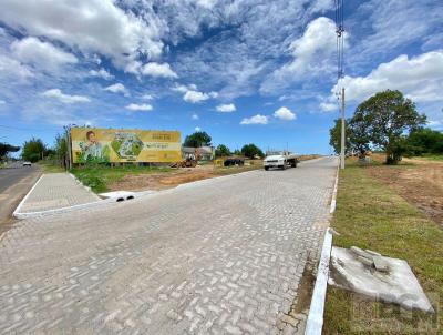 Terreno para Venda, em Osrio, bairro Panormico