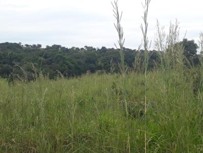 Fazenda para Venda, em So Miguel do Araguaia, bairro Zona Rural