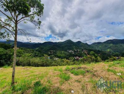 Terreno para Venda, em Miguel Pereira, bairro So Judas Tadeu