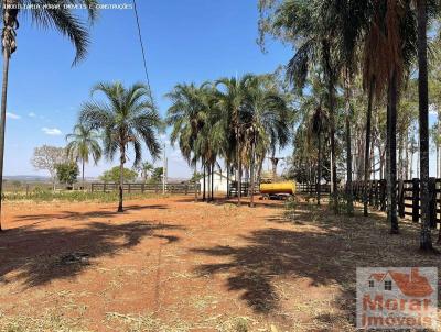 Fazenda para Venda, em Costa Rica, bairro costa rica