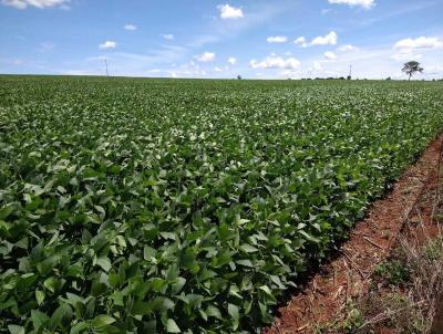 Fazenda para Venda, em Piracanjuba, bairro Zona Rural