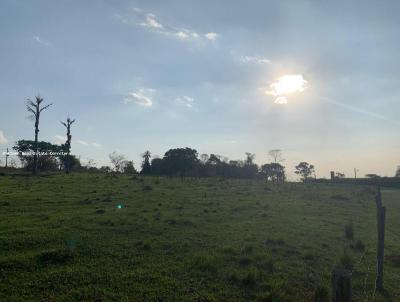 Terreno para Venda, em Indaiatuba, bairro Bairro Helvtia, 1 banheiro, 99 vagas