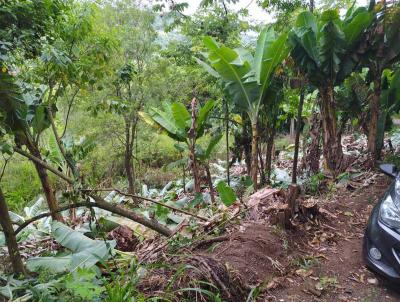 Stio / Chcara para Venda, em Igrejinha, bairro Rochedo